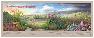 First printing of – Celebrating National Grasslands and Celebrating Grasses